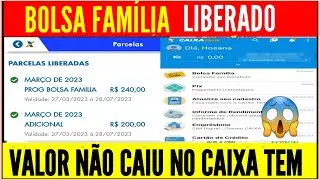 BOLSA FAM&Iacute;LIA LIBERADO PAGAMENTO, MAS N&Atilde;O CAIU NO CAIXA TEM! O QUE FAZER?