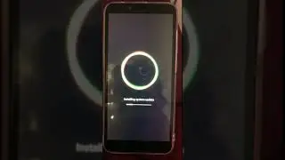 Puffin Phone Updating OS