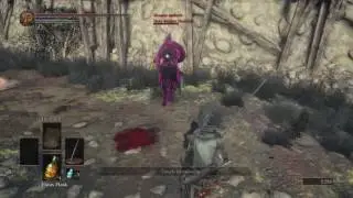 DARK SOULS&trade; III - Holy Knight Hodrick - Dark Spirit