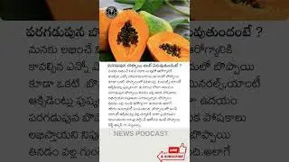 Papaya fruit benefits #papaya #healthtips #healthyliving #health #like #trending #fruits #shortsfeed
