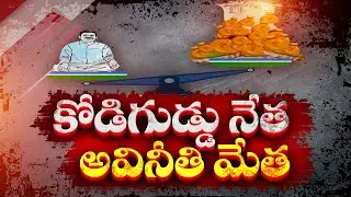 అక్రమాల్లో ఆరితేరిన కోడిగుడ్డు కథల నేత | YCP Leader Corruption and irregularities | Vizag