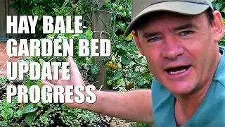 Hay Bale Garden Bed Updates Continual Harvests