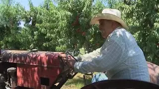 Eyewitness News Central California Food Bank seeing an influx in donors during pandemic