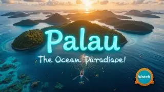 Palau 2025: Discover the Hidden Ocean Paradise of the Pacific Islands