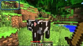 ToMMaS Let's play 1.mp4