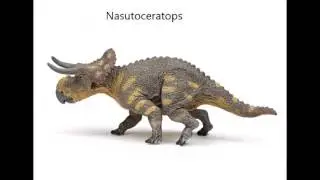 C&C Productions Special: Ceratopsia