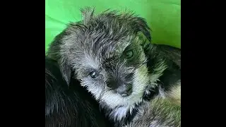 Meet Libby Lu