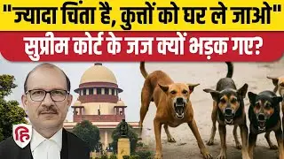Supreme Court On Stray Dogs: आवारा कुत्तों को लेकर कोर्ट Dog Lovers पर भड़का | Dogs Attack
