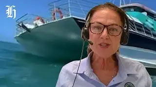 Investigation into Akaroa boat capsizing begins | Herald NOW