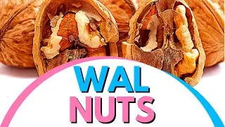 How Many Walnuts Can You Eat Per Day to Get the Best Out of It