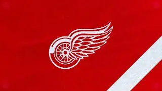 Detroit Red Wings 1991/92 Goal Horn