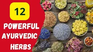 12 Powerful Ayurvedic Herbs: Exploring India's Traditional Medicine