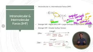 Intermolecular (IMF) vs. Intramolecular Forces Chemistry HELP - EXPLAINED!