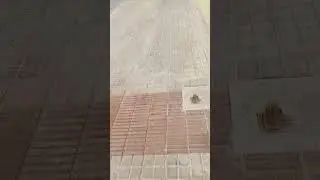 Camino al banco para gestionar sistema de sobres...