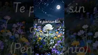 Te pienso sin querer (Pensamiento) #narradorra&uacute;lmart&iacute;nez #amor #poes&iacute;a