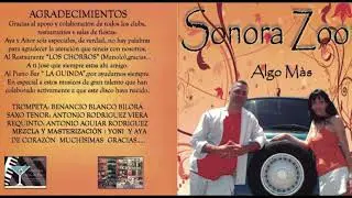 Sonora Zoom  Algo mas