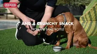 Dexas Snack-DuO Dual-Chamber Pet Hydration Bottle....it also holds dry kibble or snacks!