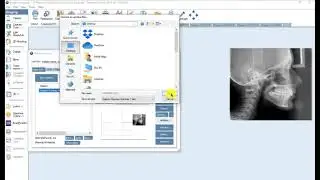 How to archive a Dolphin Software Record