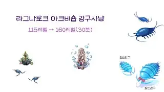 라그나로크 아크비숍 115레벨 → 160레벨