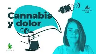 😩 C&oacute;mo Tomar CBD para el Dolor (Gu&iacute;a Completa)