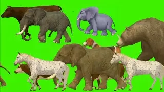 Bfdi , cartoon, and animals stampede green screen animation video l No copyright l Animals stampede