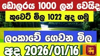 🔴🇱🇰අද රටවිරු  ඩොලරයේ මිල ඉහලට | kuwait  saudi airporte news today news|  breking news |exchangerate