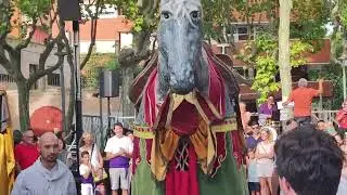 Ball del cavall Quim d'Esplugues de Llobregat (22/07/2022)