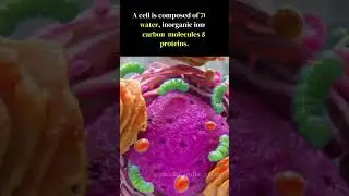 Cells: Building Blocks of Life