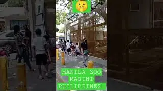 MANILA ZOO MABINI PHILIPPINES #manila #zoo #mabini #philippines #djsweet16vlog2022
