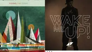 Wake Me Up x Cough Syrup