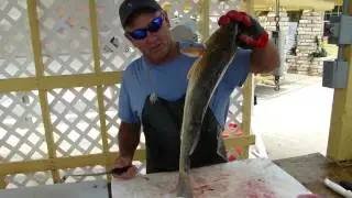 Filleting Trout and Redfish