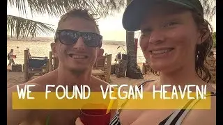 WE FOUND VEGAN HEAVEN! | KOH PHANGAN | THAILAND VLOG #4 | Howay the Herbivores