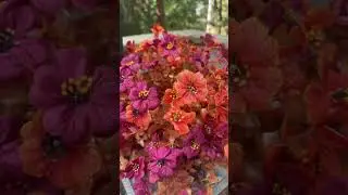 #FallFlowers #WeatherResistantFlowers #FakeFlowers #FallDecor