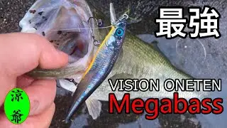 【バス釣り】　ワンテンを信じて1日中投げ続けた漢