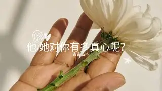 【吉吉占卜】他/她對你有多真心呢？ | 可愛胖乎乎兔子塔羅牌 | 綠色植物女巫神諭卡 | 神秘萨满神谕卡 (無時間限制)