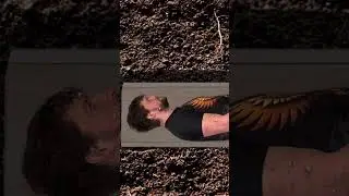 С 4 июля, мои маслянистые соседи @zackdfilms