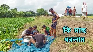 amazing net fishing videos.village fishing.Traditional fishing life