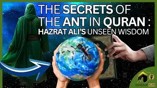 The Secrets of the Ant: Hazrat Ali&rsquo;s Unseen Wisdom | Echoes of Islam #imamali #islam #science #allah