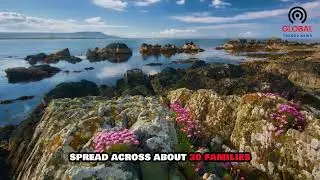 Owey Island: Ireland&rsquo;s Timeless Escape to Disconnect from the World