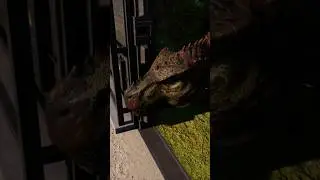 Dinosaur Fight 🦖 #jurassicworldgameplay #jurassicworld #dinosaur #gaming #gameplay #shorts