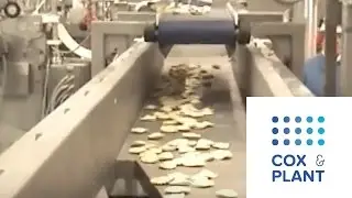 Distribution conveyor for perfectly separated products - Cox & Plant