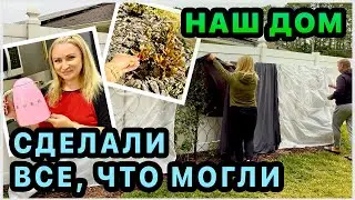 Что с растениями после мороза? 🤔Спасаем чайник из распаковки. Покупки в русском магазине. США