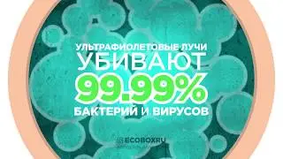 Eco Box - защити своё здоровье