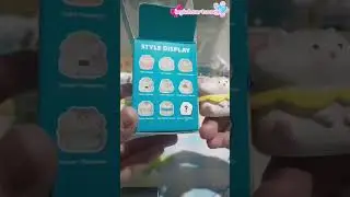 Mr diy blind boxes unboxing (COUSINS VID NOT MINE I HAVE PERMISSION TO POST)