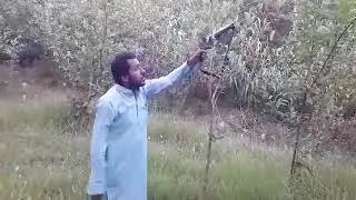 Banochi Funny Clip | Bannu Chand FunnyClip | #BannuNews #BannuTalent | BannuFun Watching Moon clip