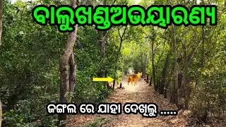 ବାଲୁଖଣ୍ଡଅଭୟାରଣ୍ୟରେ ଗୋଟିଏ ଦିନ | balukhand wildlife sanctuary konark