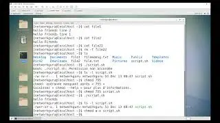 linux file permissions