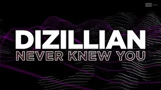 Dizillian - Never Knew You (Official Audio) | #Housemusic