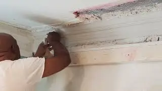 Custom Wet Plaster Crown molding and ceiling repair