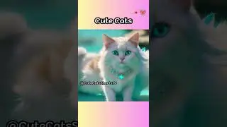 Cute Cats 75 #cute #Cats #shorts #short #Cat #CuteCats #CuteCat #funny #Funnyvideo